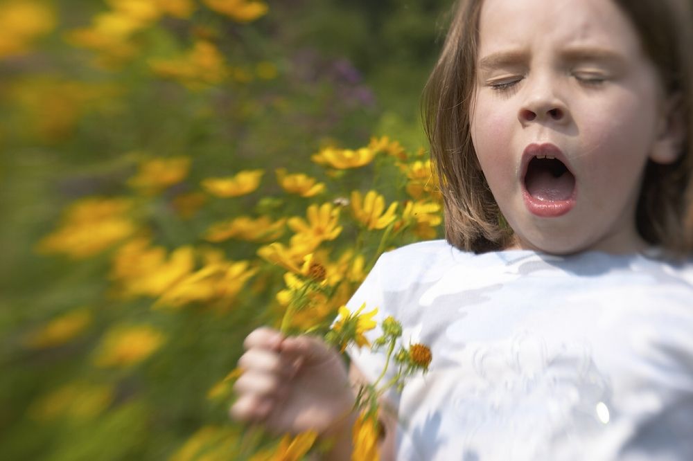 Jak zbadać wiosenne alergie?