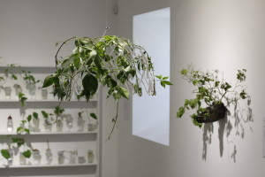 02_Odnowa oraz My Dear (Agnieszka Bar), w tle Plantacja (Alicja Patanowska)_foto Paula Dulnik