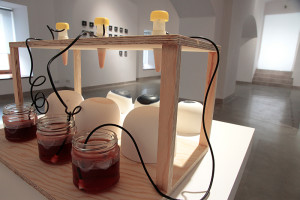 Kapcup (Patrycja Olszewska, School of Form)_foto Olga Grabiwoda