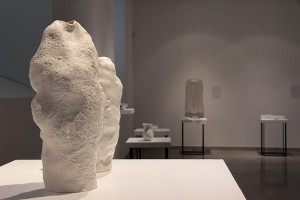 Snow Vase (Maxim Velcovsky)_foto Olga Grabiwoda