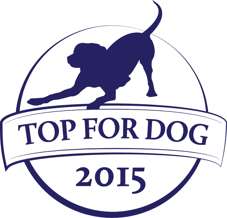 Gala Ty Fundujesz Dobro i konkurs Top for Dog 2015