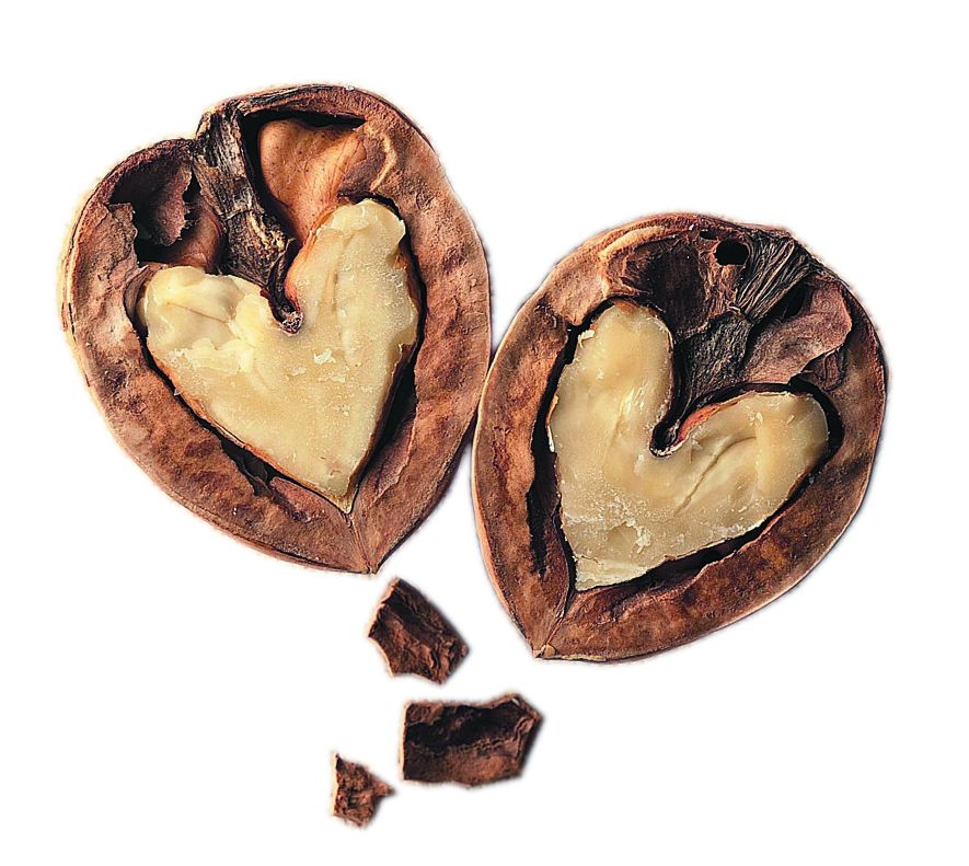 Kwasy tłuszczowe Omega-3 pochodzenia roślinnego i morskiego wpływają na zmniejszenie śmiertelności