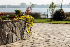 3-postarzana-roma-oliwka