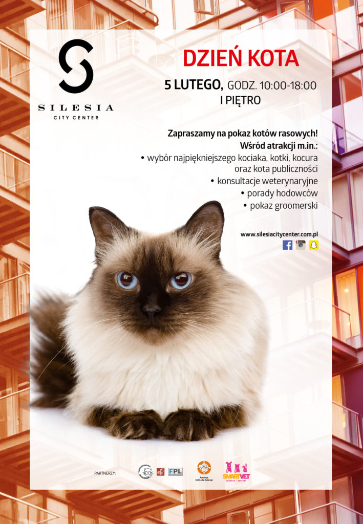 Pierwszy Pokaz Kotów Rasowych w Silesia City Center