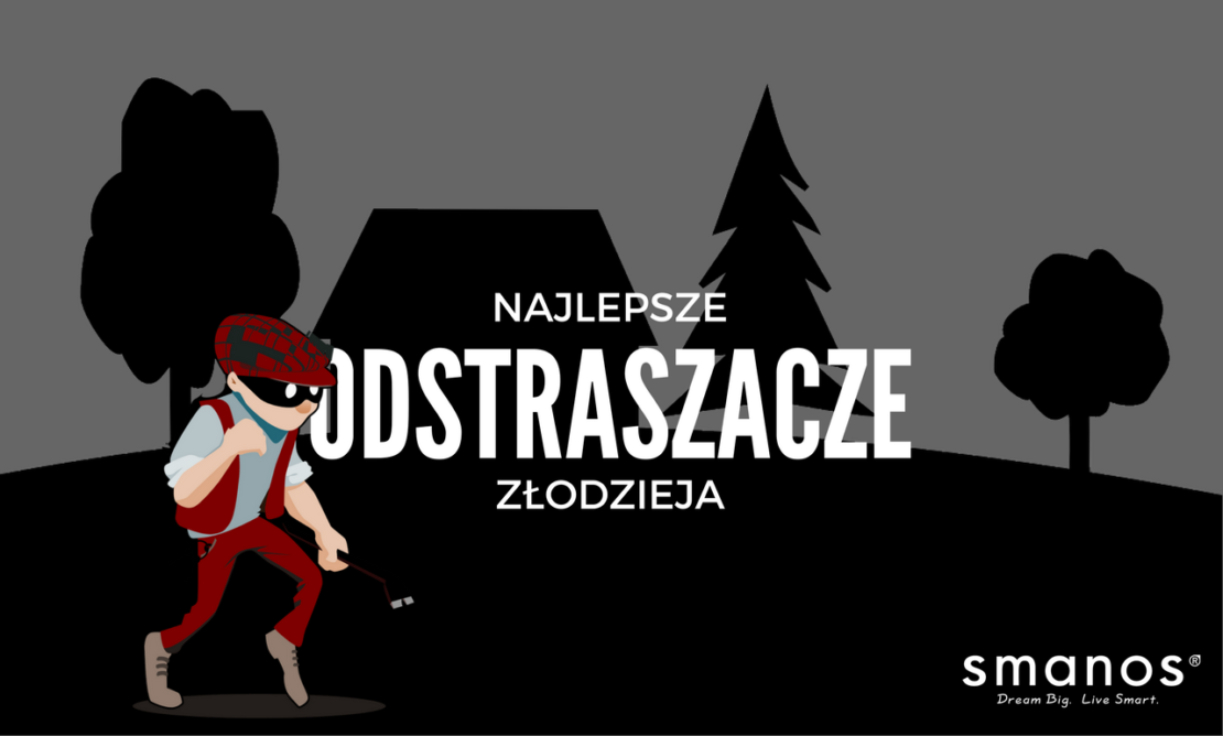 Najlepsze Odstraszacze Złodzieja – 10 faktów!