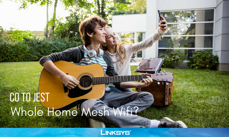 Co to jest Whole Home Mesh WiFi?