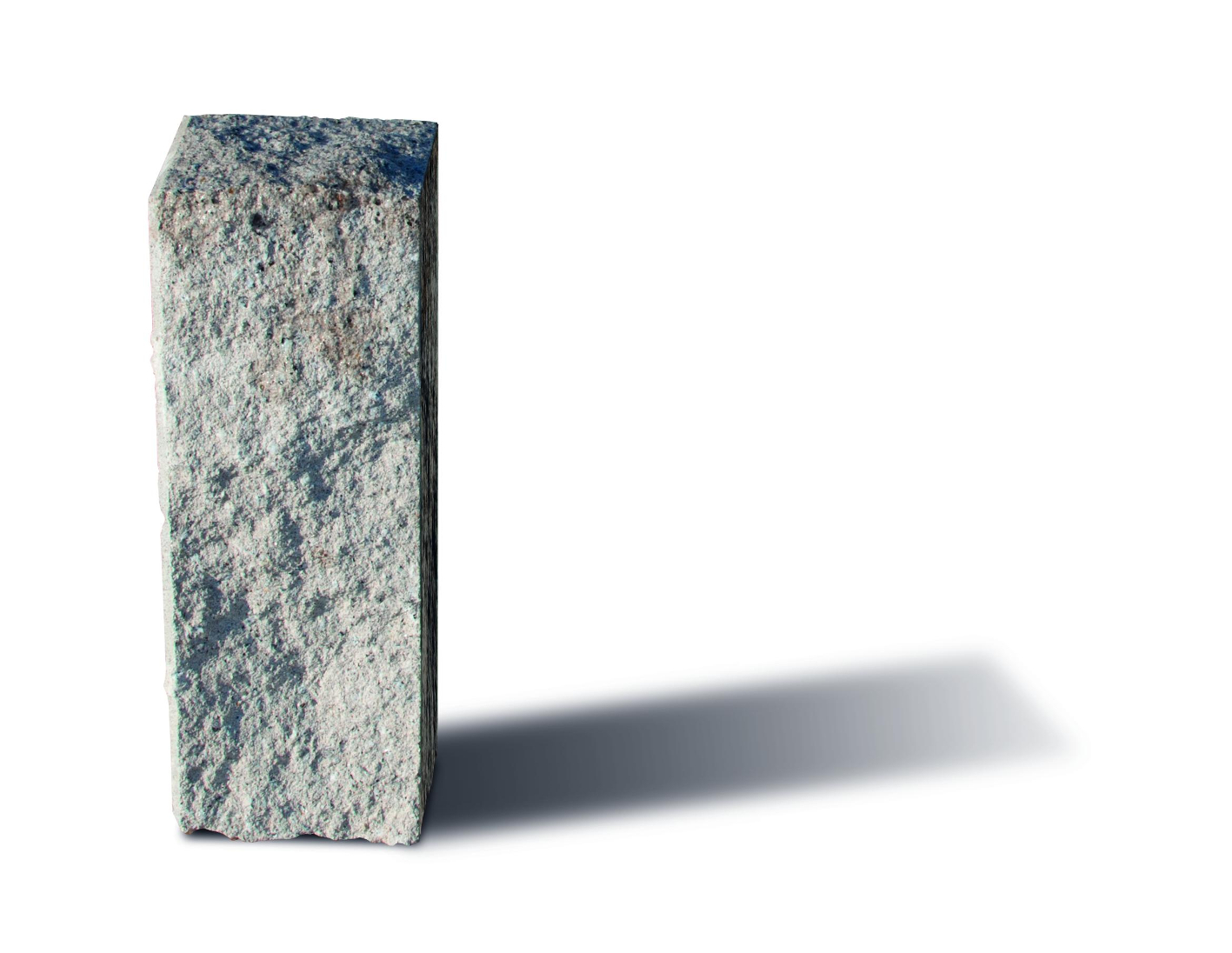 PALISADA ŁUPANA – POSTAW NA NATURALNOŚĆ